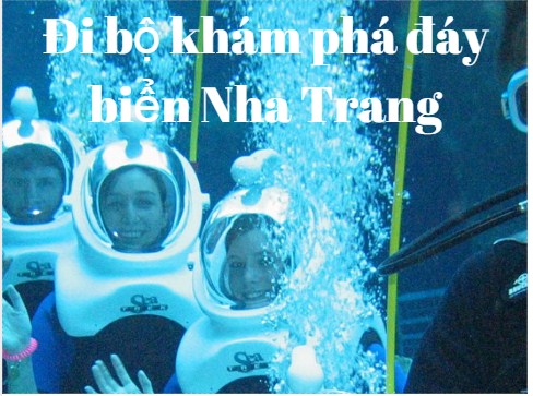 [TOP 10+ TIP] Đi Bộ Khám Phá Đáy Biển Nha Trang Một Trải Nghiệm Thú Vị!