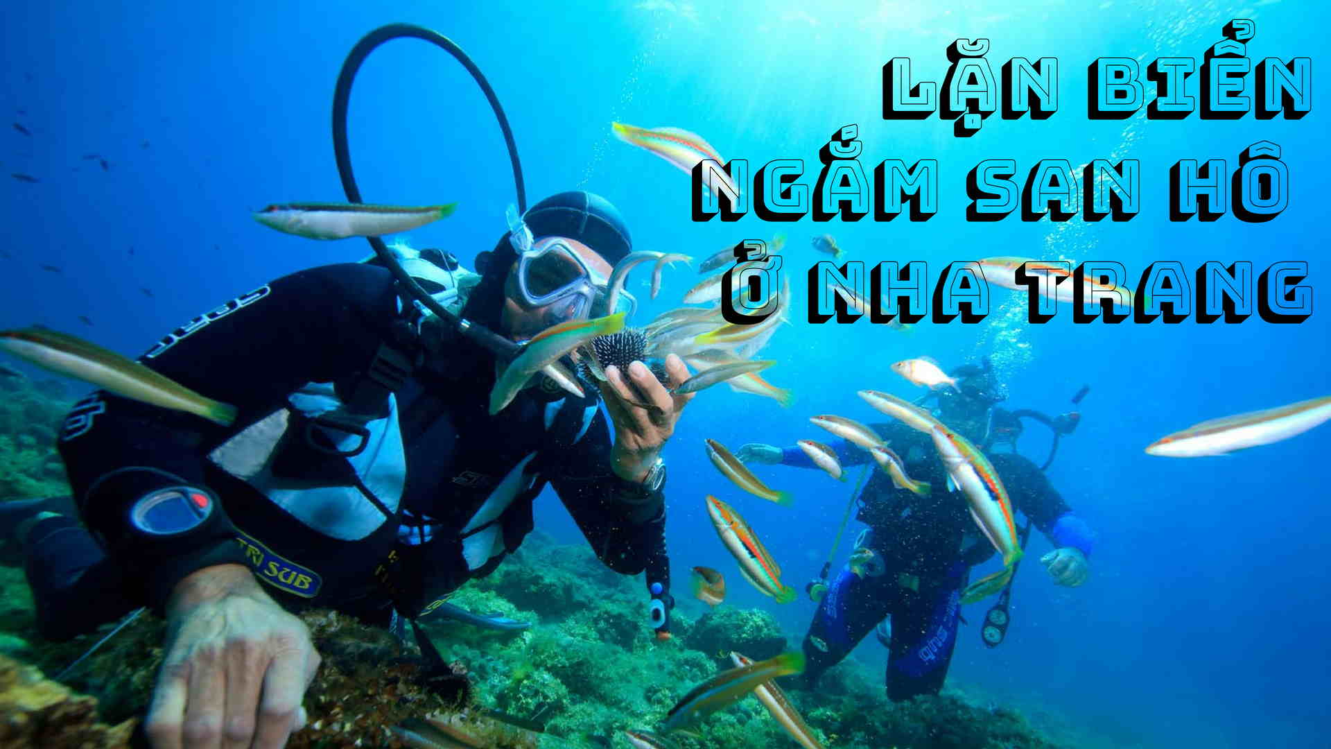 [Những Mẹo Hay] Cần Biết Khi Du Lịch Lặn Biển Nha Trang!