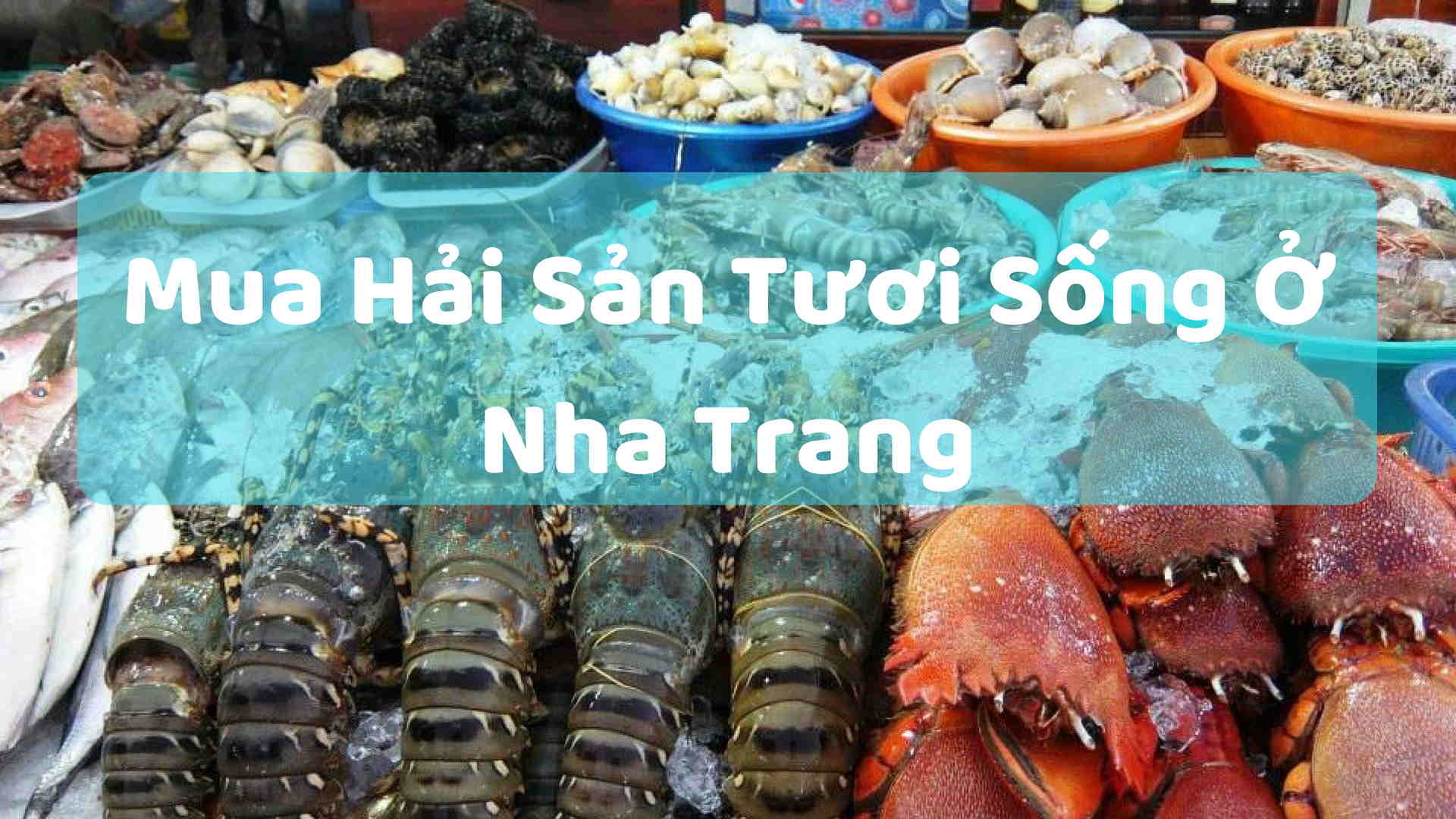 [Bí Quyết] Kinh Nghiệm Mua Hải Sản Tươi Sống Ở Nha Trang Cho Bạn!