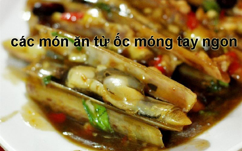 [Tổng Hợp] Các Địa Điểm Có Món Ốc Móng Tay Ngon Ở Nha Trang!