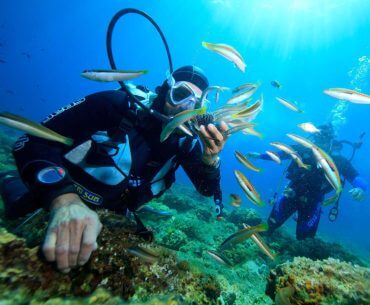 Tour Lặn Biển Nha Trang Giá Rẻ