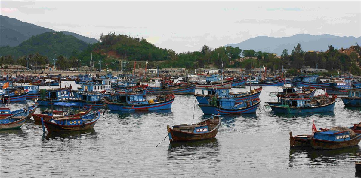 Cảng Cá Vĩnh Lương
