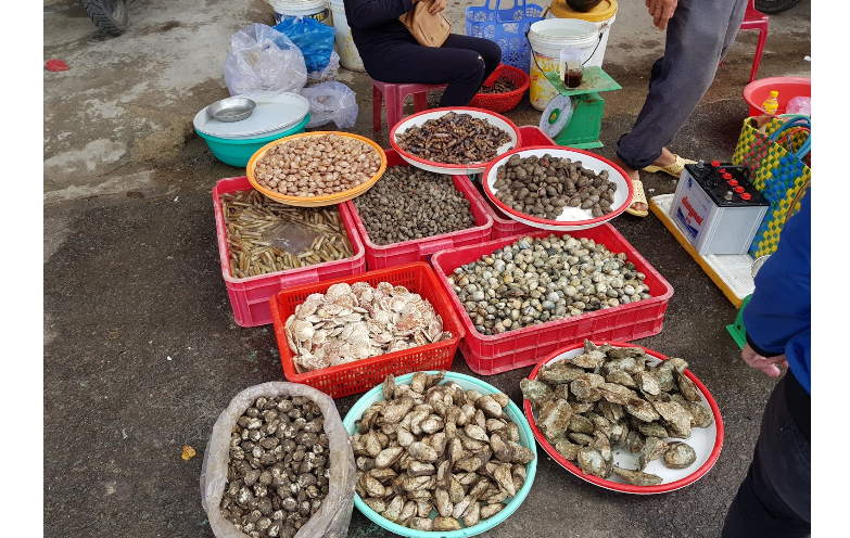 Mua hải sản chợ Bình Tân Nha Trang