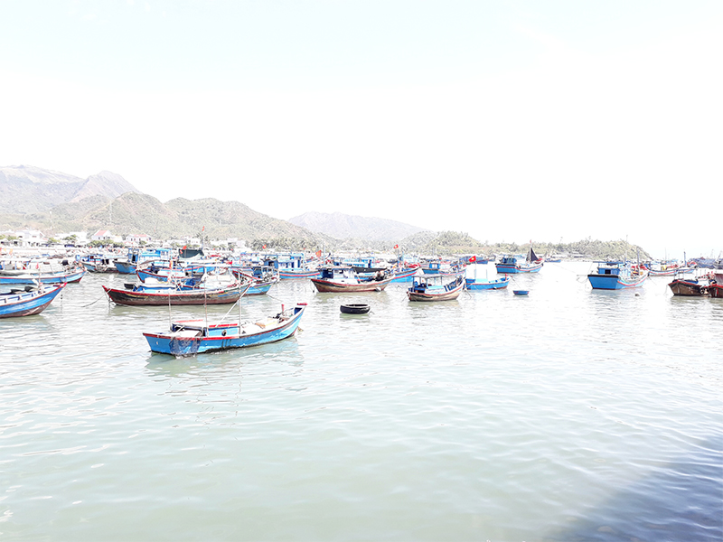 Chợ cảng cá Vĩnh Lương